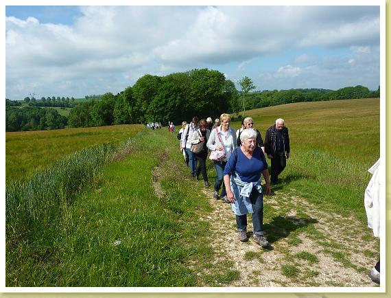 Provins_Marche (29)